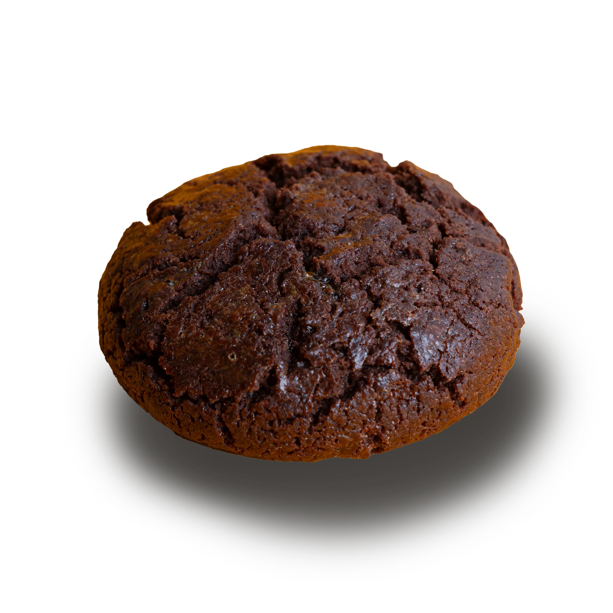 La Bottega dei Pippi Pistoia Sacher